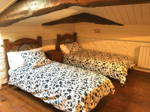 阿穆里奥Hospedaje Albizabal HVI00405的一间拥有两张床铺的卧室,房间印有猎豹图案