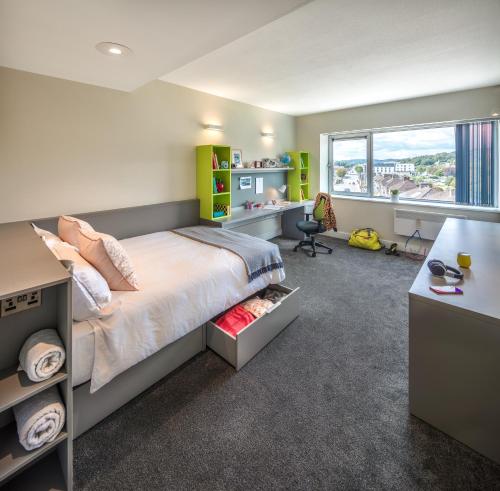 科克Victoria Mills Apartments - UCC Summer Beds的一间卧室配有一张床、一张书桌和一个窗户。