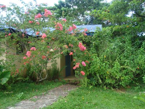拉斯特拉纳斯Fata Morgana Eco Hotel的一座花园,在房子前方种有粉红色的花朵