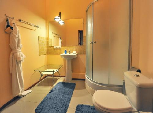 敖德萨Apartments on Deribasovskaya的带淋浴、卫生间和盥洗盆的浴室