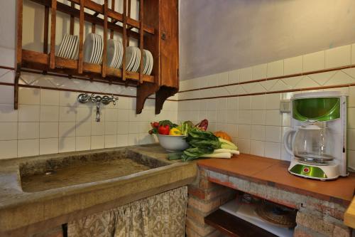 特拉诺瓦-布拉乔利尼Podere Il Doccio的厨房柜台,配有搅拌机和一碗蔬菜