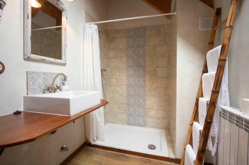 伊萨瓦安吉欣公寓的一间带水槽和淋浴的浴室