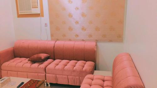 哈费尔巴廷Al Beagy Furnished Units的客厅里一张粉红色的沙发,上面有一只猫