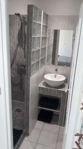 莱特鲁瓦西莱PARADIS TURQUOISE LOCATIONS的一间带水槽和淋浴的浴室