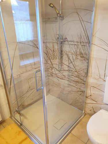 PobershauErzgebirgshütte的浴室里设有玻璃门淋浴