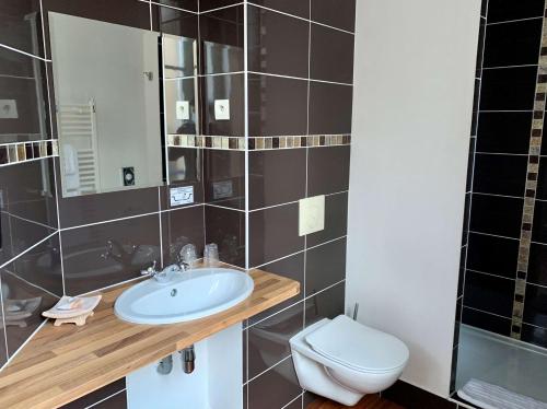富热尔贝斯特韦斯特旅行者酒店的一间带水槽和卫生间的浴室
