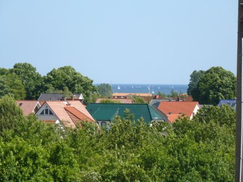 Strandläufer Kühlungsborn picture 1