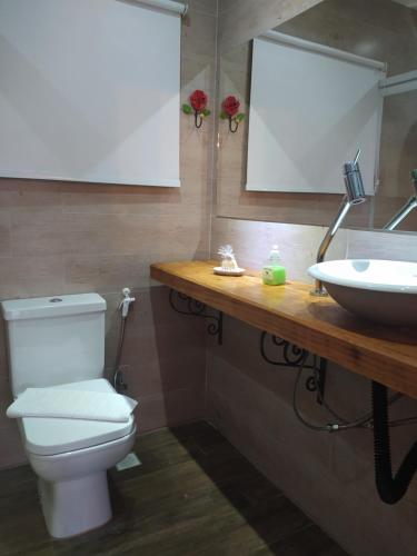 蒙特韦尔迪Chalés Descanso na Serra的浴室配有白色卫生间和盥洗盆。