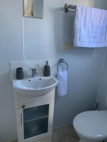 努尔卡巴Wine Country Tourist Park Hunter Valley的浴室配有白色水槽和卫生间。