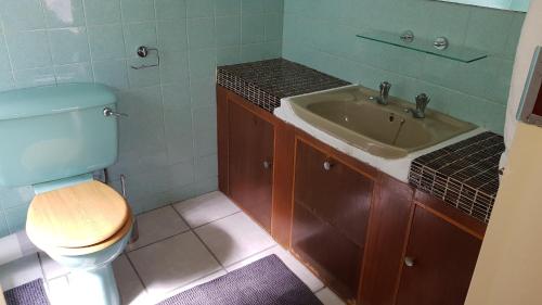 比勒陀利亚Accommodation@Park1285的一间带卫生间和水槽的浴室