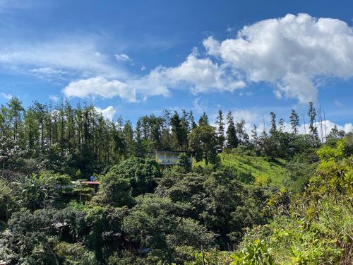 Las Catalinas Ecológicas (El Maizal)