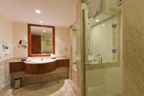 钦奈雅阁大都会饭店的一间带水槽和淋浴的浴室