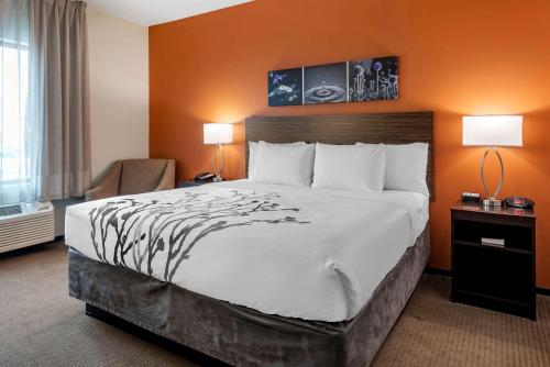 摩押拱门国家公园附近司丽普摩押酒店的酒店客房设有一张大床和两盏灯。