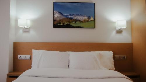 阿穆里奥Pensión Ayala的卧室配有一张挂在墙上的床铺