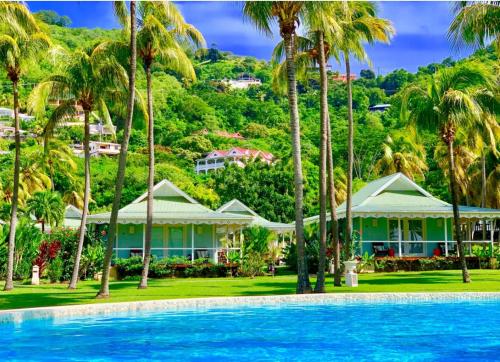 BequiaBequia Plantation Hotel的棕榈树和游泳池度假村
