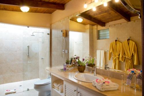 科塔卡奇幻影花园酒店及Spa的一间带水槽、淋浴和卫生间的浴室