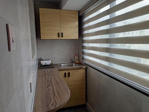尼科西亚Studio in the center of Nicosia的一个带水槽的小厨房和一个带百叶窗的窗户