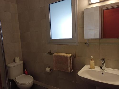 尼科西亚Studio in the center of Nicosia的一间带卫生间、水槽和窗户的浴室