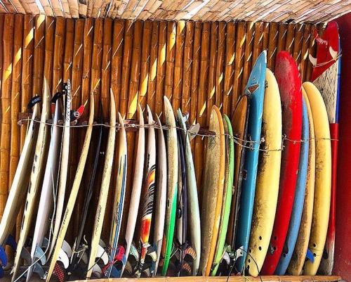 奇卡马港Surf House Chicama的墙上一排冲浪板