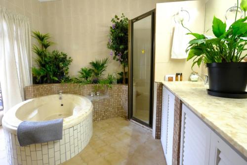 圣卢西亚圣卢西亚旅馆的浴室配有浴缸和植物淋浴