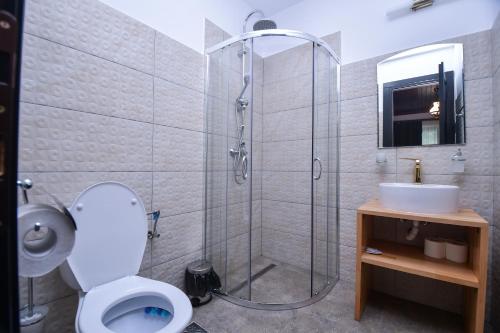上维谢乌Piatra Soimului的带淋浴、卫生间和盥洗盆的浴室