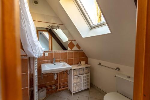 HanchesLe Colombier de Hanches - Teritoria的一间带水槽和天窗的浴室