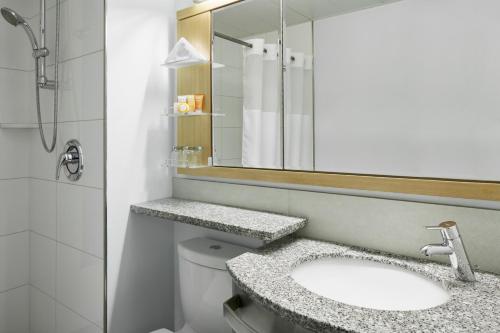 纽约Club Quarters Hotel World Trade Center, New York的一间带水槽、镜子和卫生间的浴室