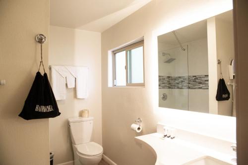 圣克拉拉斯特灵汽车旅馆的一间带卫生间、水槽和镜子的浴室