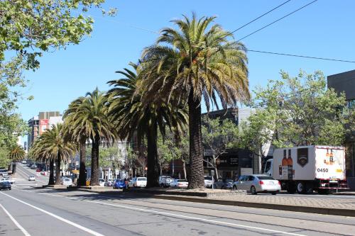 旧金山双峰酒店的一条城市街道上的一排棕榈树