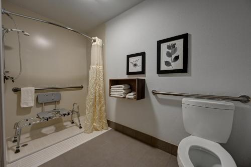 皮埃尔皮埃尔伊克诺旅馆酒店及会议中心的带淋浴和卫生间的浴室。