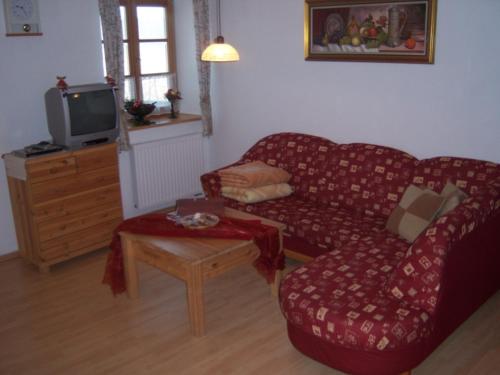 希明格Irgenbauer的客厅配有红色沙发和电视