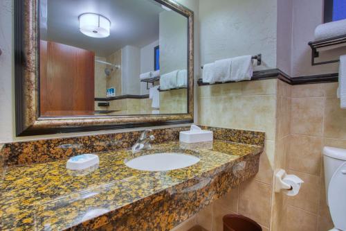 Drury Inn & Suites San Antonio Near La Cantera的一间浴室