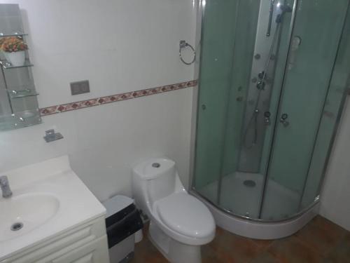 科伊艾科La Ruta de Aysén的一间带卫生间和玻璃淋浴间的浴室