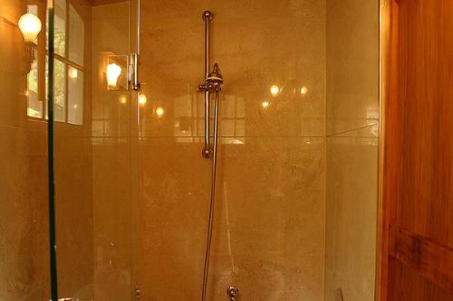 纳皮尔布鲁夫山住宿加早餐旅馆的浴室里设有玻璃门淋浴