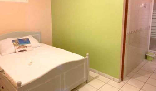 DucosAppartement de 2 chambres avec jardin clos et wifi a Ducos的一间带一张床和淋浴的小卧室