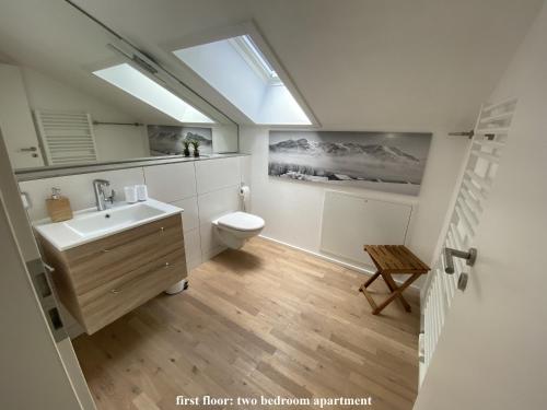 加尔米施-帕滕基兴Ferienhaus Alpenjuwel的浴室配有水槽和带天窗的卫生间。