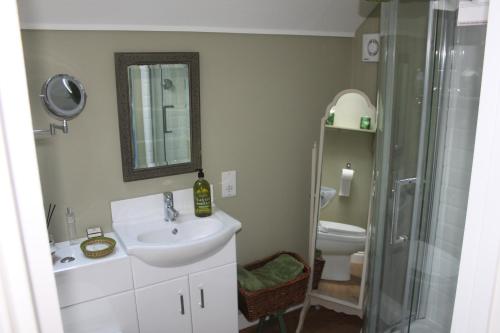 米德赫斯特The Green Room的一间带水槽、淋浴和卫生间的浴室