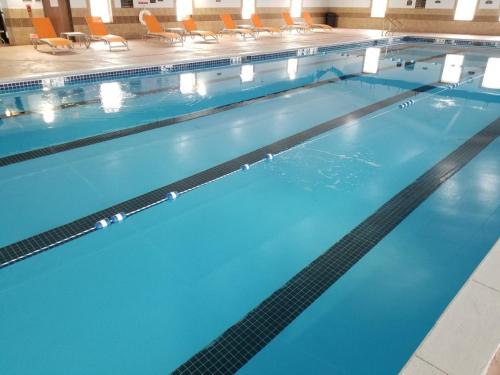 Sheldon谢尔顿智选假日套房酒店的一座蓝色海水和椅子的大型游泳池