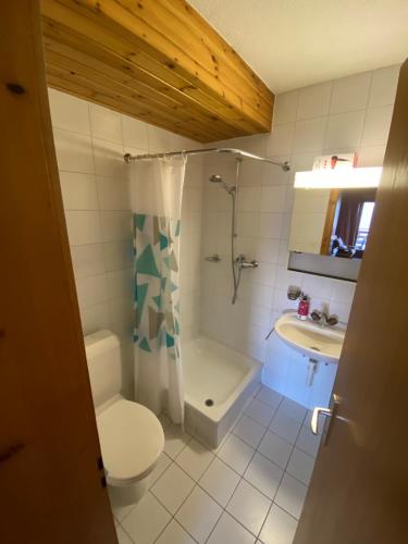 韦松纳Studios Bellevue 1 et 2, ski lift 150m的浴室配有卫生间、淋浴和盥洗盆。