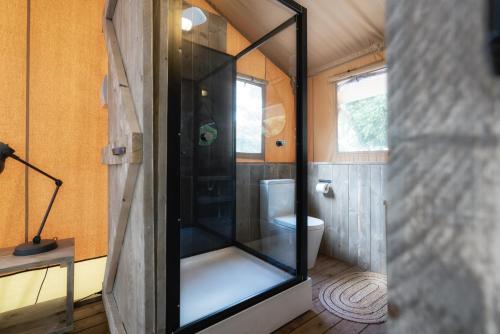 卡斯尔梅恩Castlemaine Gardens Luxury Safari Tents的一间小房子里带玻璃淋浴间的浴室