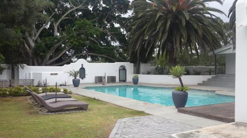 斯泰伦博斯Slaley Country House的棕榈树庭院内的游泳池