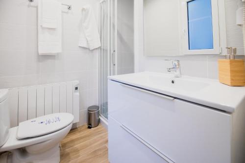 莱塞斯卡尔德-恩戈尔达El Niu de Escaldes的白色的浴室设有卫生间和水槽。