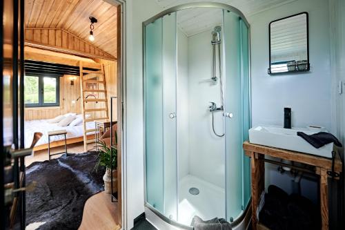 奥纲赖泽Joly Tiny House的带淋浴和盥洗盆的浴室