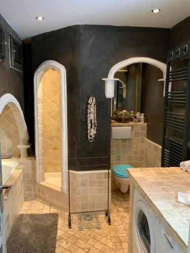欧龙CHALET FAMILIAL AURON的带淋浴和卫生间的浴室
