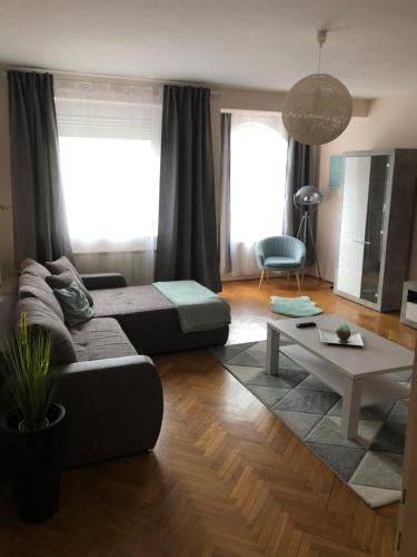 塞格德Szeged Gyöngye的客厅配有沙发和桌子