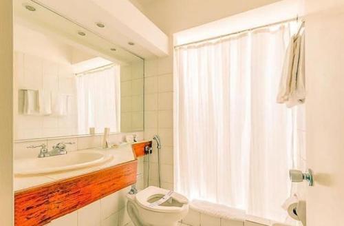 Puerto La CruzHotel Cristina Suites的一间带卫生间、水槽和镜子的浴室