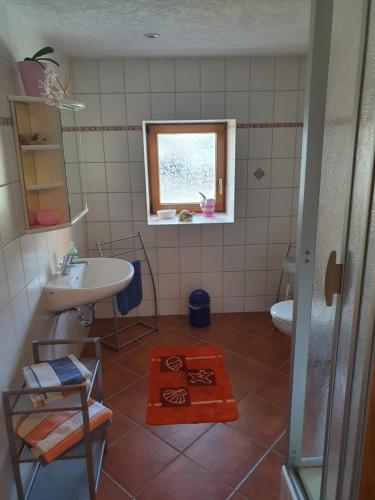 巴特戈特洛伊巴Alte Schäferei Bad Gottleuba的一间带水槽和卫生间的浴室以及窗户。