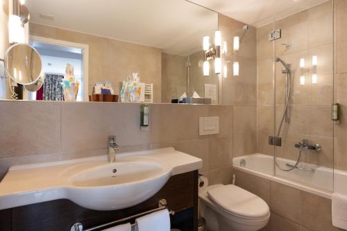 因特拉肯因特拉肯克雷布斯酒店的一间带水槽和卫生间的浴室