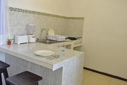 巴亚尔塔港Hotel Blue Home Vallarta的厨房配有带水槽和炉灶的台面