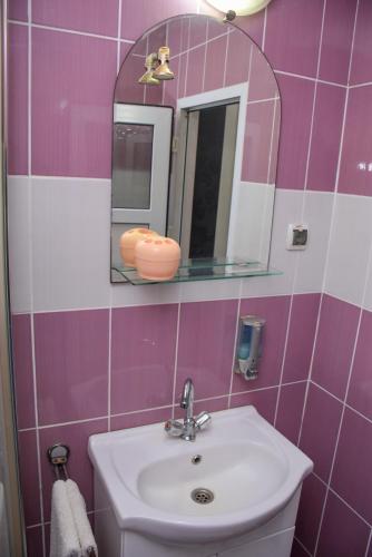 MelenciGuest House Ceca的一间带水槽和镜子的浴室
